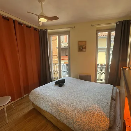 Apartman Canopee Du Capitole - T2 - Centre - Metro *